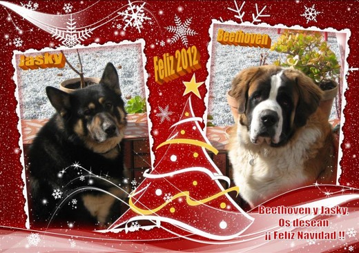 OS DESEAMOS UNA FELIZ NAVIDAD Y UN PROSPERO AÑO NUEVO 2012